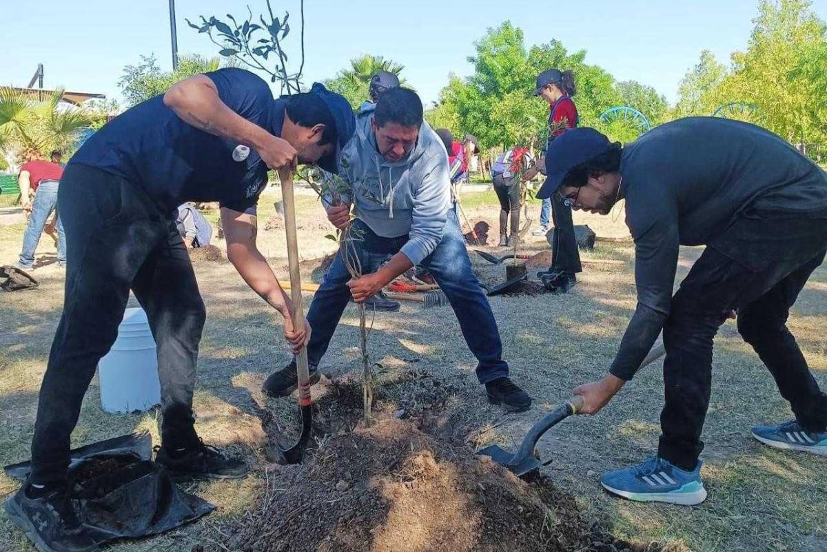 Celebrarán el «Día internacional de la tierra» con jornada de reforestación