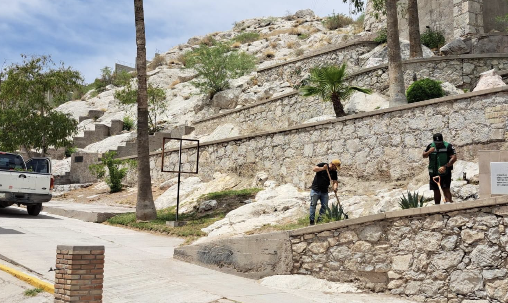 Colocan nuevas plantas en los jardines del Museo Casa del Cerro