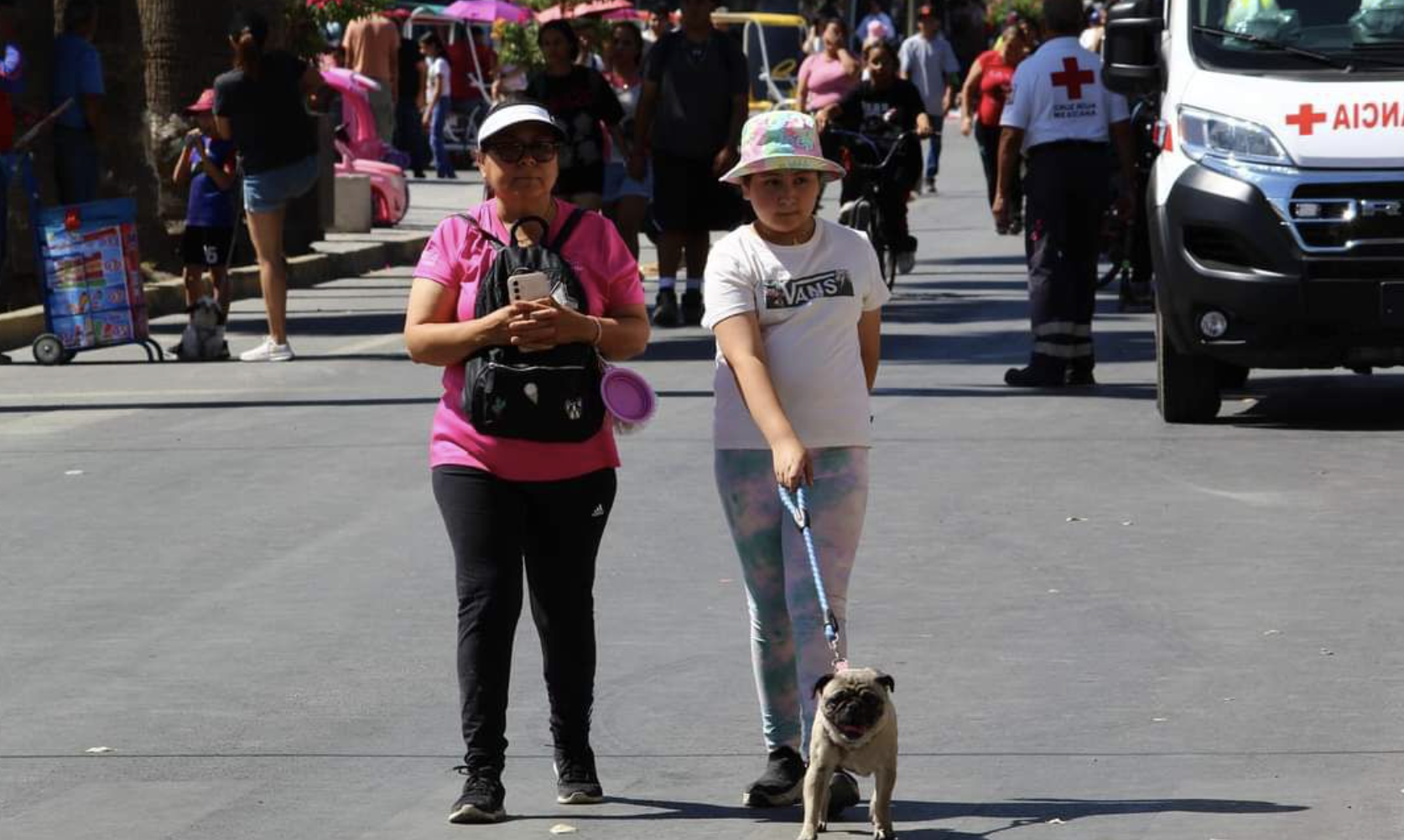 Emiten recomendaciones para el cuidado de animales de compañía ante altas temperaturas