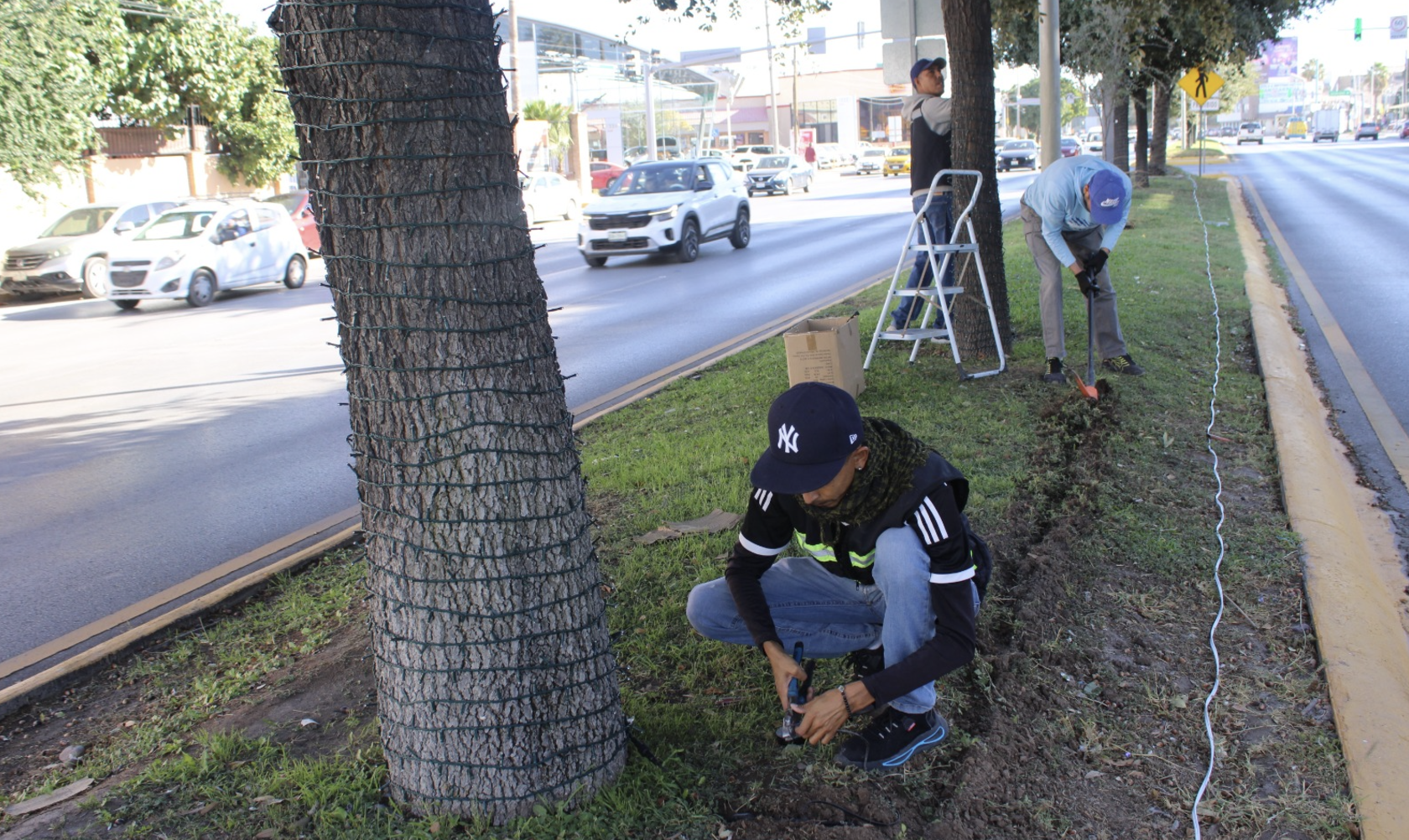 Instalarán 26 mil metros de luces navideñas en las principales vialidades de Torreón