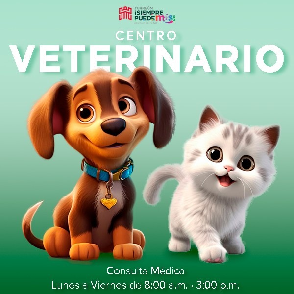 Recomendaciones para el cuidado animal ante altas temperaturas