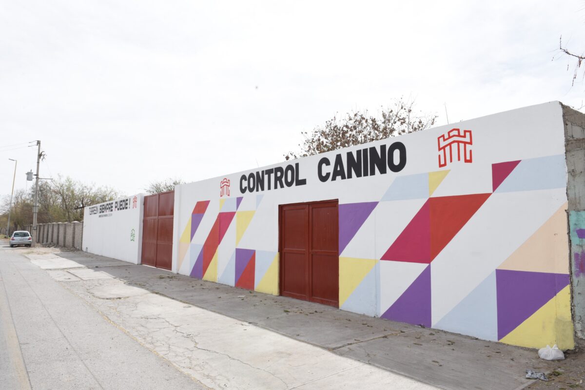 Celebran el Día Mundial del Perro con jornada de adopciones