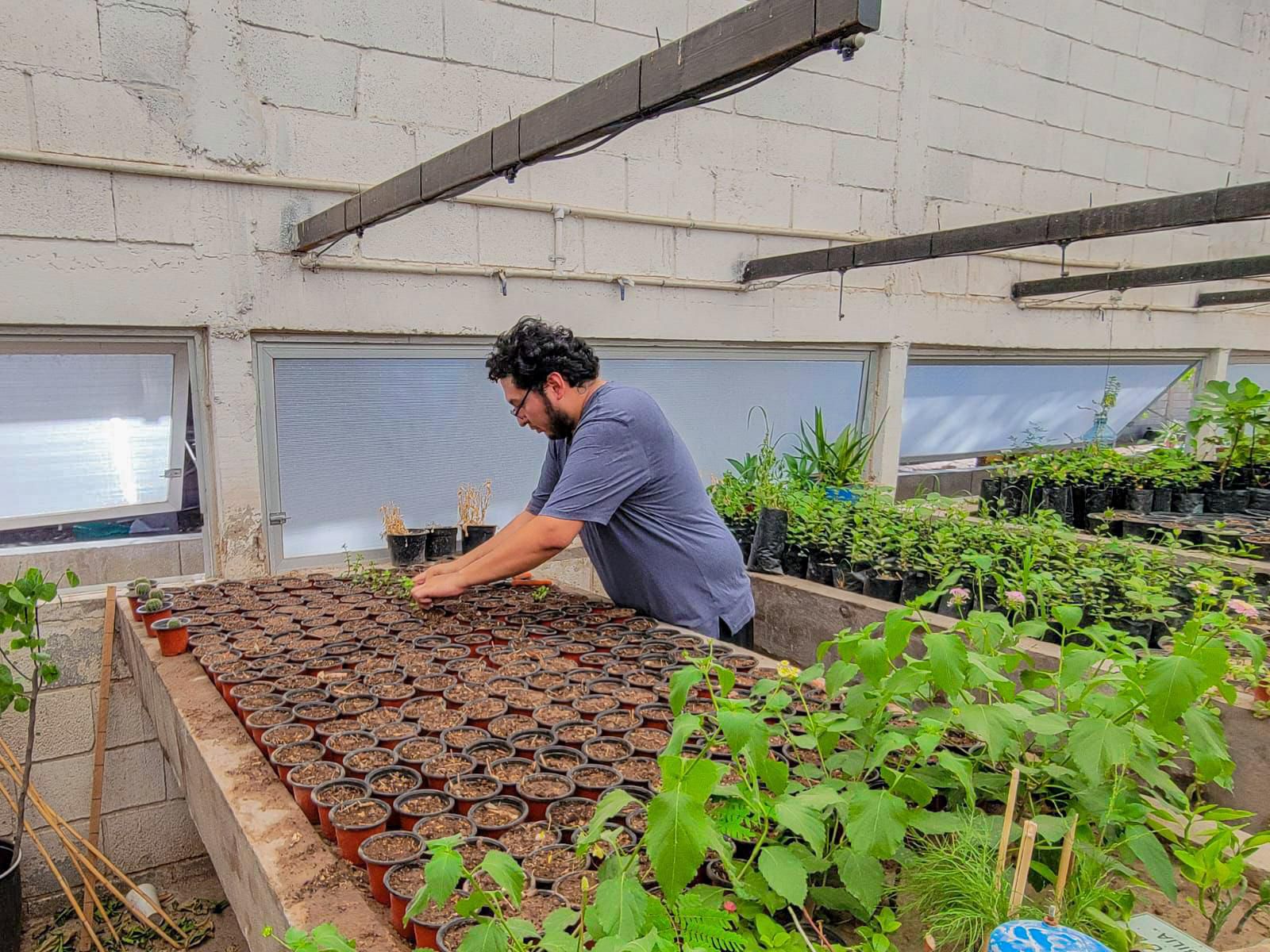 Inicia la etapa de reproducción de especies en el Vivero Municipal