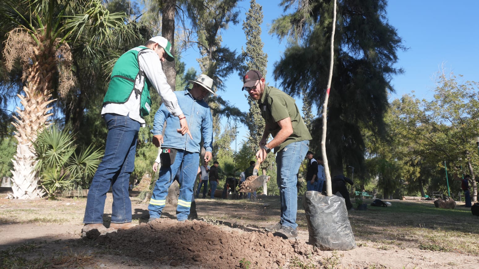 El Bosque Venustiano Carranza crece y se fortalece; reforestan 100 nuevos árboles con apoyo de alumnos del CONALEP