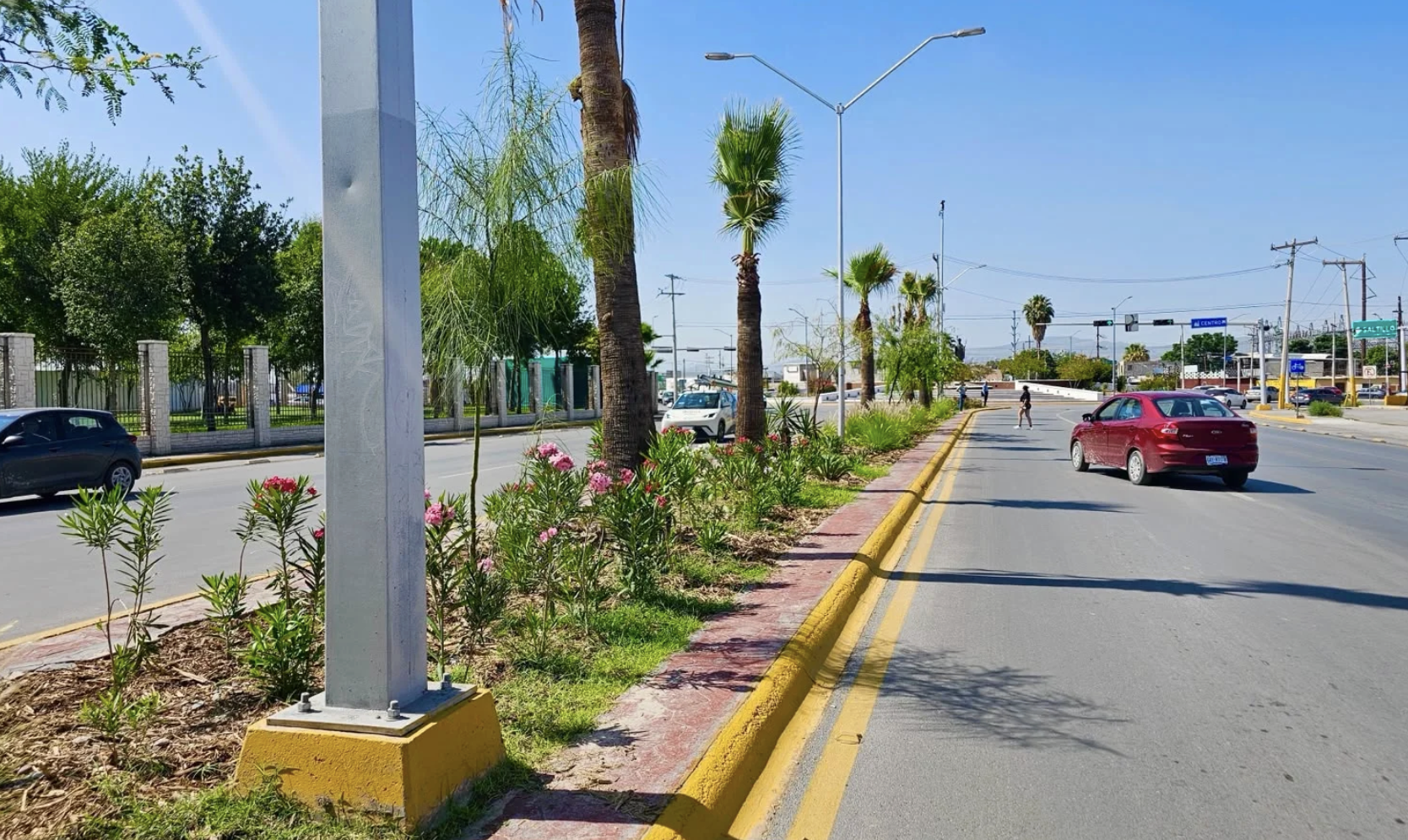 Avanza la transformación del camellón central del bulevar Juan Pablo II